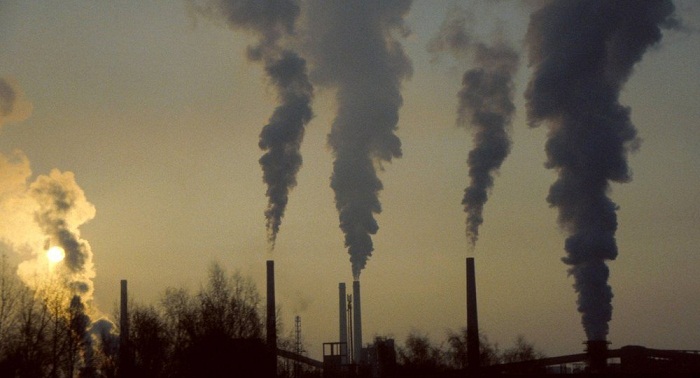 Canadians rally in 12 cities protesting against carbon tax